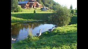 Великий Устюг. Усадьба Арлазорова. Вечерний заплыв