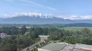 Самшитовая роща 0061389.mp4