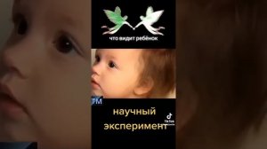 Научный подход в изучении ангелов