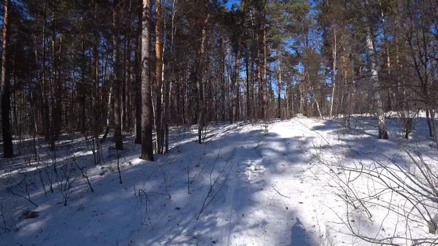 На снегоходе на Лысую Гору смотреть онлайн