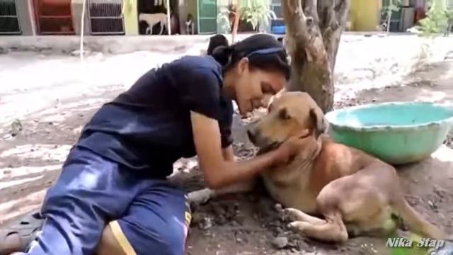 Рахм кун хато ба сагхо смотреть онлайн