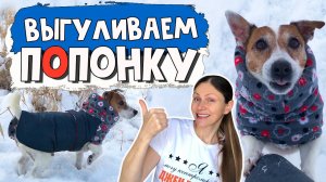 Выгуливаем новую ЗИМНЮЮ попонку/ Мы с Джеком довольны/Утеплённая ПОПОНА для СОБАК СВОИМИ РУКАМИ