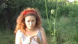 Дикая морковка или Болиголов ?