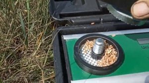 №37 Озимая пшеница. Первые дни уборки: СК-5М "Нива", Енисей 1200 НМ