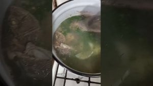 Варим окуней/Тушим грибы вешанки с картошкой