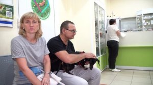 Государственной ветеринарной службе Смоленской области исполнилось 10 лет