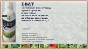 Белт - эффективное и безопасное средство от гусениц на яблоне, винограде и овощах открытого грунта