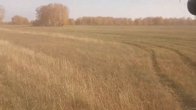 Комбайн Енисей 1200 НМ в сравнении с "Нивой" СК-5. #33 Продолжение нашего КолХОЗного сериала... смотреть онлайн