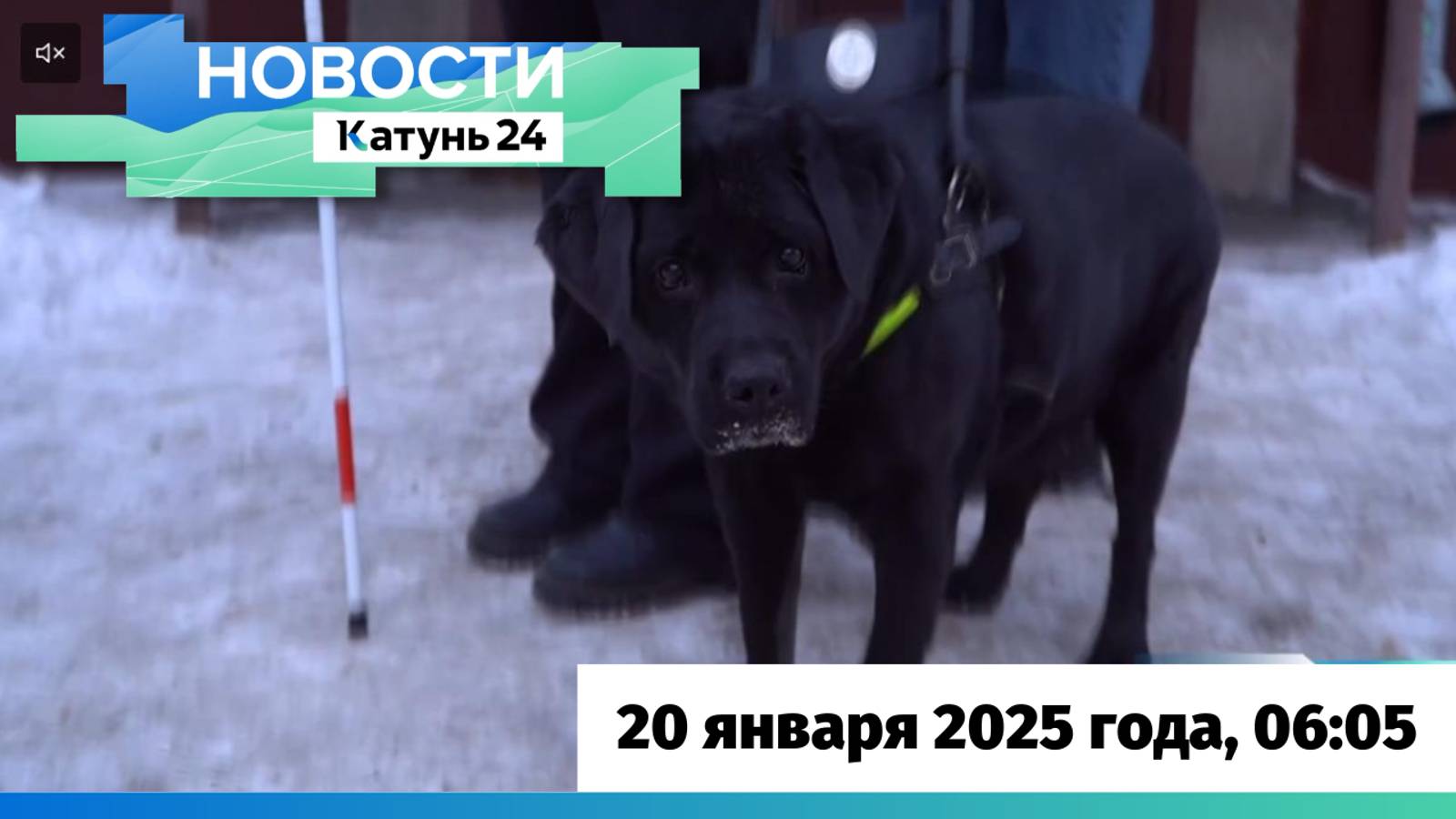 Новости Алтайского края 20 января 2025 года, выпуск в 6:05