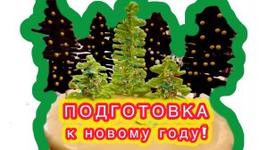 подготовка кновому 2025 году