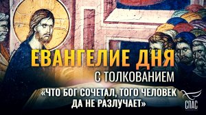 «ЧТО БОГ СОЧЕТАЛ, ТОГО ЧЕЛОВЕК ДА НЕ РАЗЛУЧАЕТ» / ЕВАНГЕЛИЕ ДНЯ