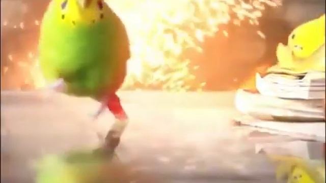 попугай убегает от зрыва смотреть онлайн