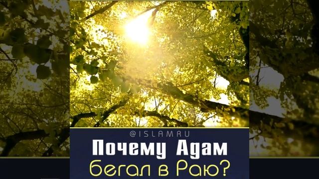 Почему праотец Адам (мир ему) бегал в Раю?