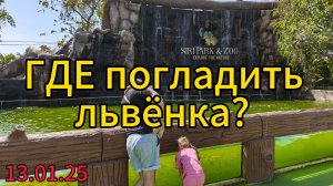 Зоопарк в Паттайе Сири Парк. Гладим львёнка, кормим слона. Супер место в Паттайе!