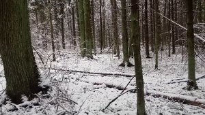 Какой единственный принцип реализует боксер на улице