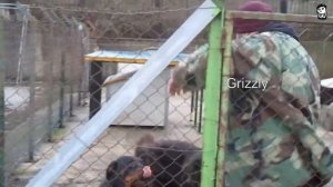 Kyriakos Grizzly the Bloatlord - a Meme Madness