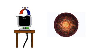 Игра Squid и Sprunki вместе