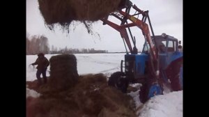 Первый выезд в поле. Вывозим последние рулоны сена