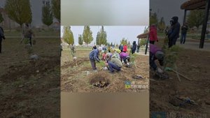 песня Тополя. Исполняет песню А. Догадкин.