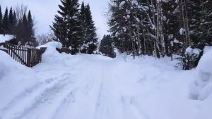 Красноярский край тайга! СИБИРЬ!