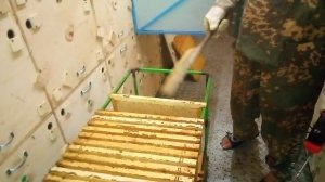 Два помощника при отборе рамок на откачку