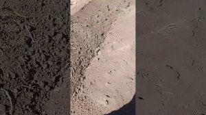 делаю межу между учасками
