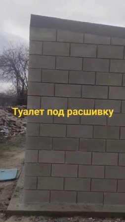 Двух местный туалет