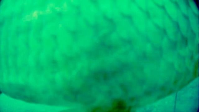 КАК СЛОВИТЬ КРУПНОГО КАРАСЯ ? Чем Занимается КАРАСЬ НА ДНЕ , пока ТЫ ЕГО ЖДЁШЬ . ПОДВОДНАЯ СЪЁМКА