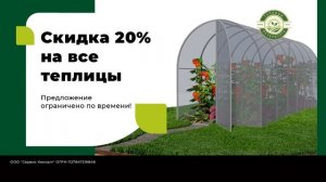 Теплицы Петербурга