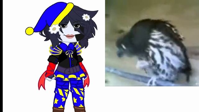 видео. Муном