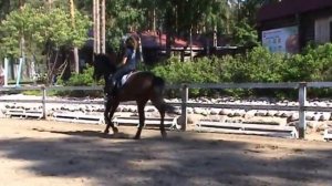 Тренировка 29 мая 13 Фелиция