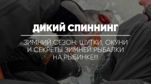 ДИКИЙ СПИННИНГ // Зимний сезон: шутки, окуни и секреты зимней рыбалки на Рыбинке!!