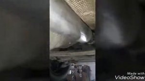 Удаление катализатора и замена гофры глушителя Volvo S40.