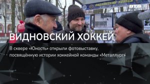 ВИДНОВСКИЙ ХОККЕЙ