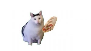 оп опа шаурма #шаурма #котики #смех #2025