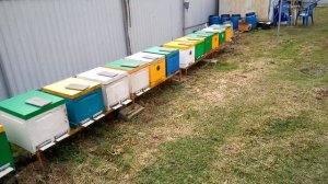 Зимняя ревизия-что и как