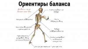 8. Ориентиры баланса. Цигун для жизни.