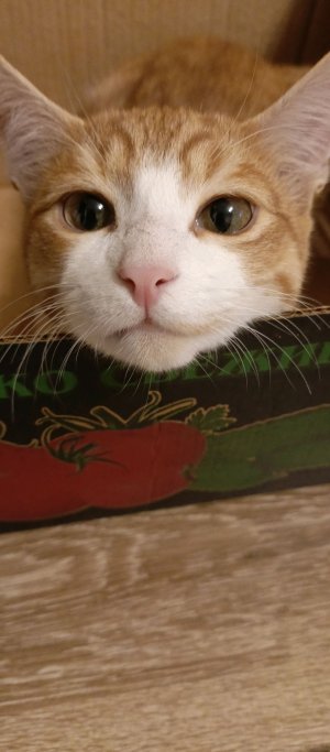 С бронзы 3 до силивира