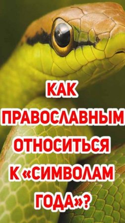 Как православным относиться к «символам года» - змеям?