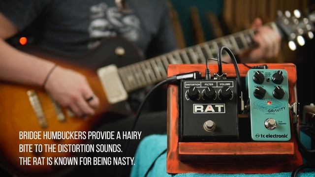 1988 ProCo RAT (LM308) | Gain Appreciation смотреть онлайн