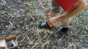 Уборочная 2021. Почему озимая дала 15 ц/га? №33