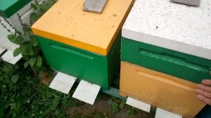 матковыводной сезон закрыт