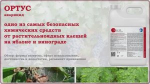 Акарицид Ортус - эффективное и безопасное средство для борьбы с клещами на яблоне и винограде. Обзор