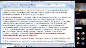 Бытие 2:18-20! Что стало с зверями большими? Ведущий Игорь Владимирович. 20.01.2025 Бытие 2:18-20