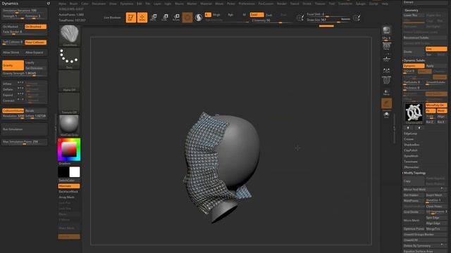 040 ZBrush 2021 MicroPoly Basics (2)