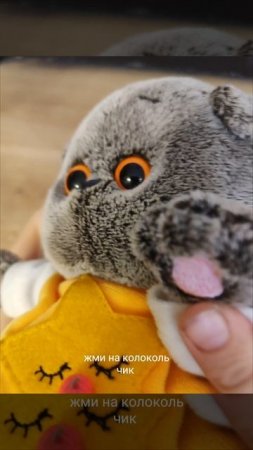 басик