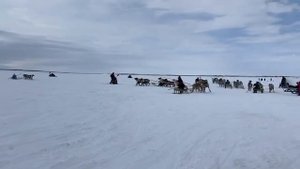 День оленевода 2023.п. Тухард, Красноярский край(2)