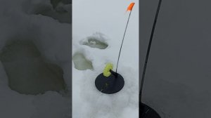 возвращение на Немду реку