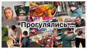 Путешествуем✔️ приехали в Кобленкц ✔️ закупили продукты в русском магазине 🛒 зашли в Action ✔️ влог