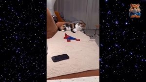 РЖАКА FM - Лучшие ПРИКОЛЫ #1